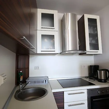 Apartmán Stadthaus Briski